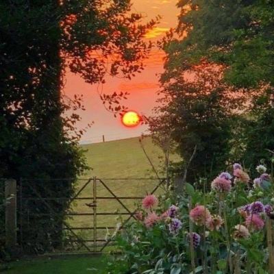 美高梅网址截图